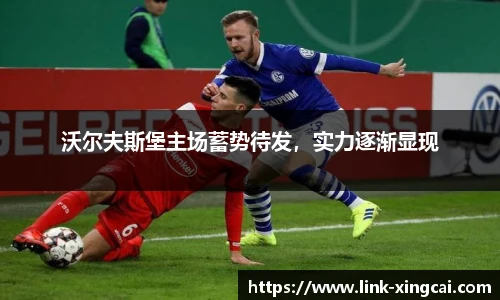 沃尔夫斯堡主场蓄势待发，实力逐渐显现